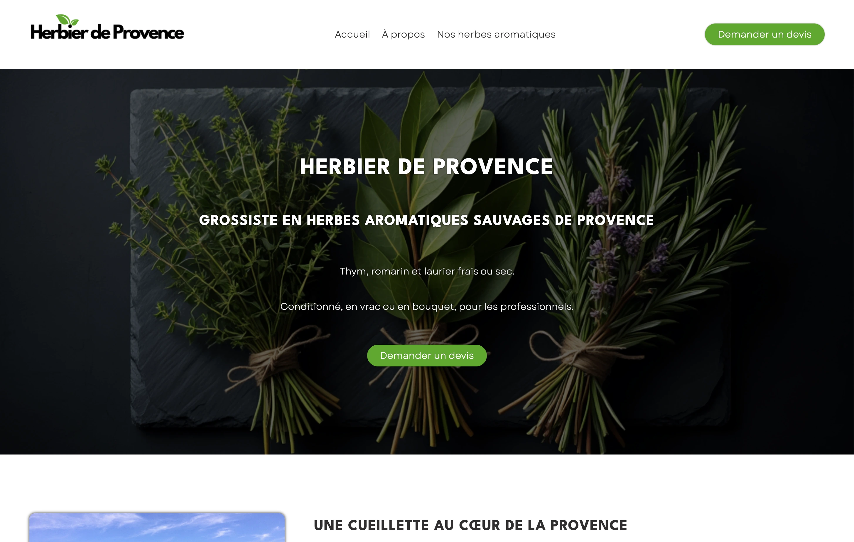 Herbier de Provence